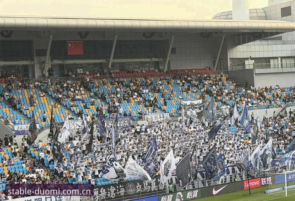 津门虎夏窗调整悬而未决，周六客战铜梁龙前需敲定外援注册方案